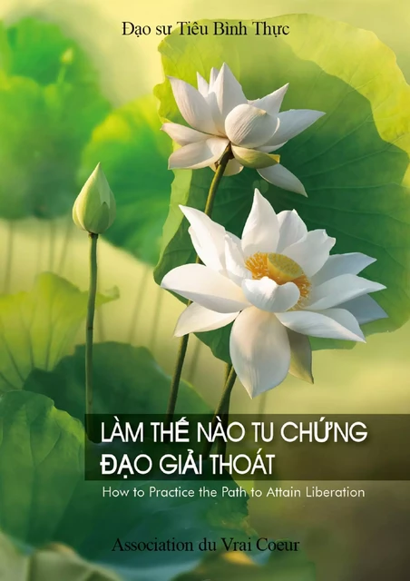 LÀM THẾ NÀO TU CHỨNG ĐẠO GIẢI THOÁT - PingShi Xiao - Bookelis