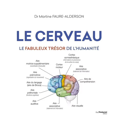 Le cerveau - Le fabuleux trésors de l'humanité - Martine Faure-Alderson - Tredaniel