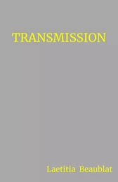 Transmission