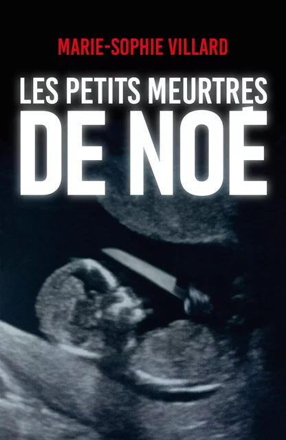 Les petits meurtres de Noé - Marie-Sophie Villard - Editions Faute de frappe