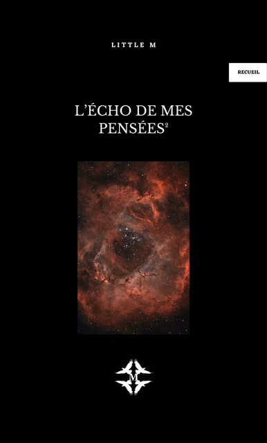 L’Écho de mes pensées² -  LITTLE M - Librinova