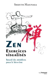 Zen - Exercices visualisés - Travail des méridiens pour le bien-être