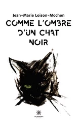 Comme l’ombre d’un chat noir