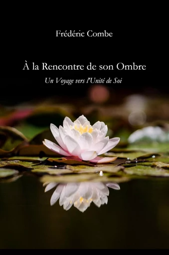 À la rencontre de son ombre - Frederic Combe - Librinova