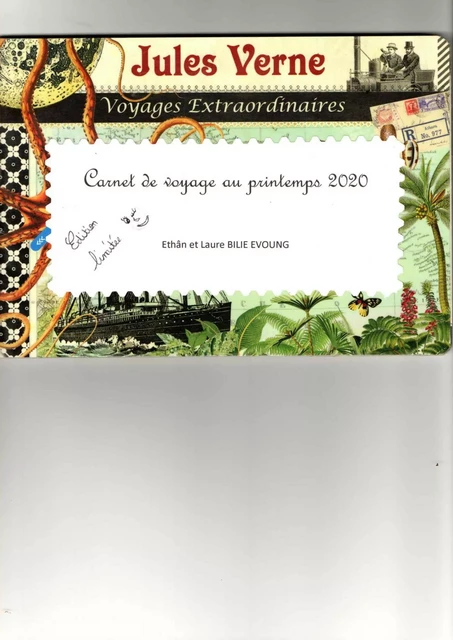 Carnet de voyage au printemps 2020 - Laure Bilie Evoung - Librinova