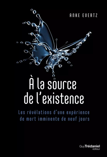 À la source de l'existence - Les révélations d'une expérience de mort imminente de neuf jours - Anke Evertz - Tredaniel