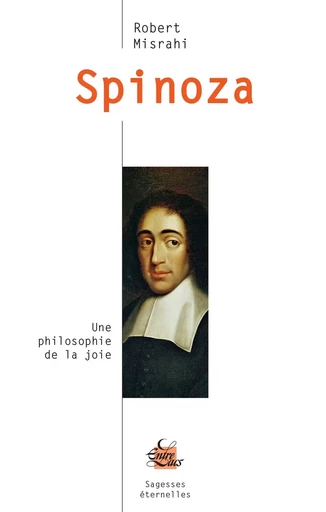 Spinoza - Une philosophie de la joie - Robert Misrahi - Dervy