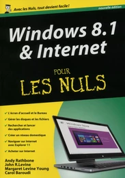 Windows 8.1 et Internet, Mégapoche pour les Nuls