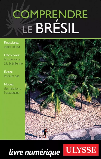 Comprendre le Brésil - Natasha Prévost, Aude Perron - Ulysse