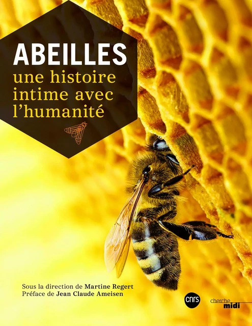 Abeilles -  Collectif - Cherche Midi