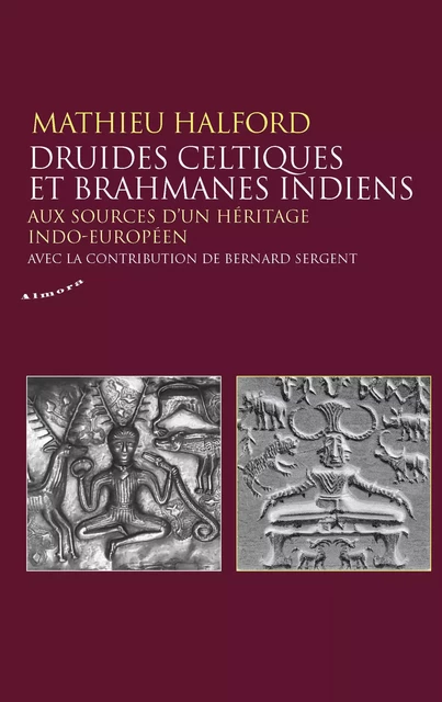 Druides celtiques et brahmanes indiens - Aux sources d'un héritage indo-européen - Mathieu Halford - Dervy