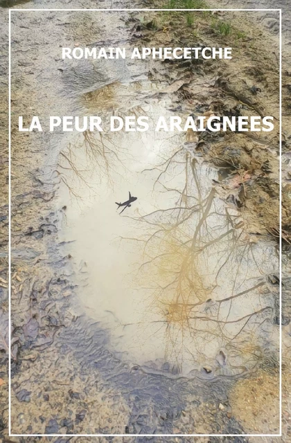 La Peur des Araignées - Romain Aphecetche - Librinova