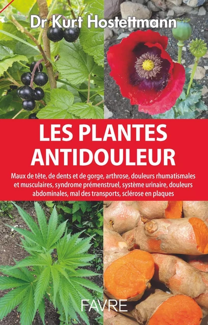 Plantes antidouleur - Maux de tête, de dents et de gorge, arthrose, douleurs rhumatismales et muscul - Kurt Hostettmann - Groupe Libella