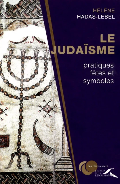 judaïsme : pratiques, fêtes et symboles - Hélène Hadas-Lebel - Place des éditeurs