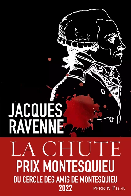 La chute - Prix Montesquieu du Cercle des amis de Montesquieu 2022 - Jacques Ravenne - Place des éditeurs