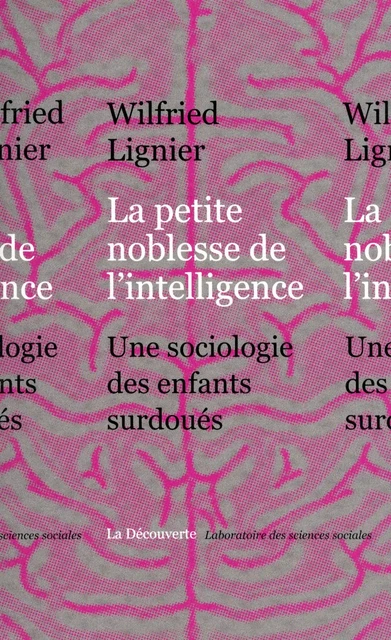 La petite noblesse de l'intelligence - Wilfried Lignier - La Découverte