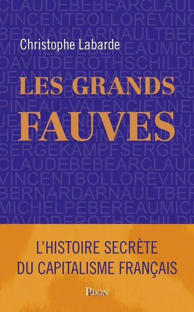 Les grands fauves - Christophe Labarde - Place des éditeurs