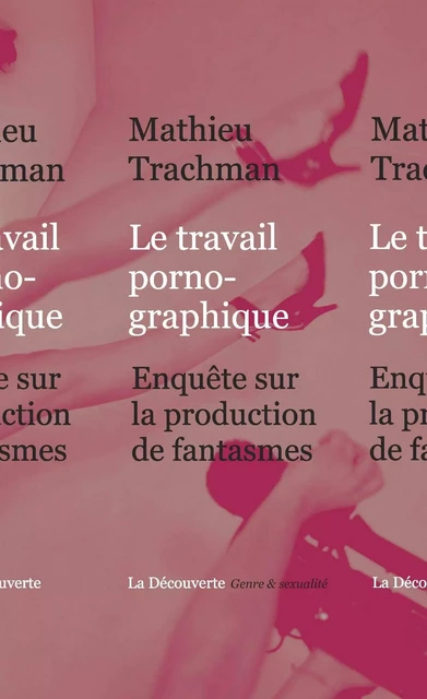 Le travail pornographique - Mathieu Trachman - La Découverte