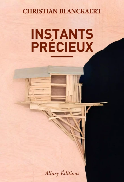 Instants précieux - Christian Blanckaert - Allary éditions