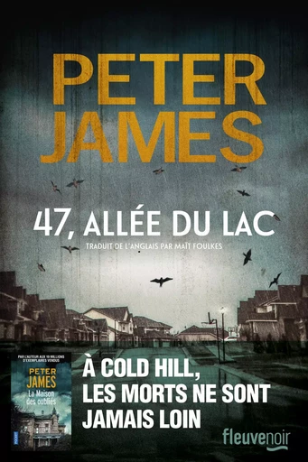 47, allée du lac - Peter James - Univers Poche