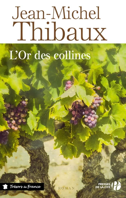 L'Or des collines - Jean-Michel Thibaux - Place des éditeurs