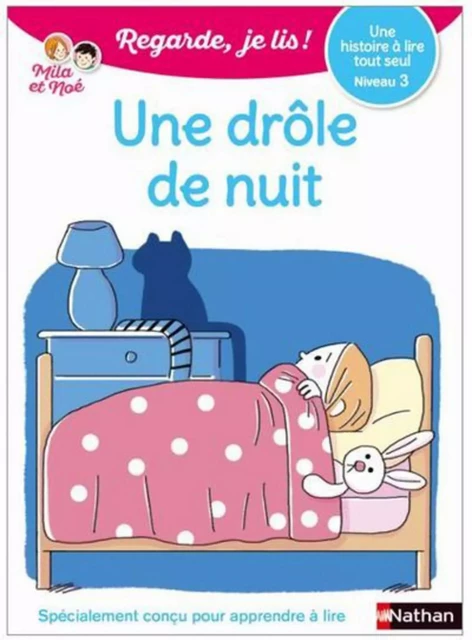 Une drôle de nuit - Regarde, je lis - Lecture CP Niveau 1 - Éric Battut - Nathan