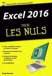 Excel 2016 Poche Pour les Nuls