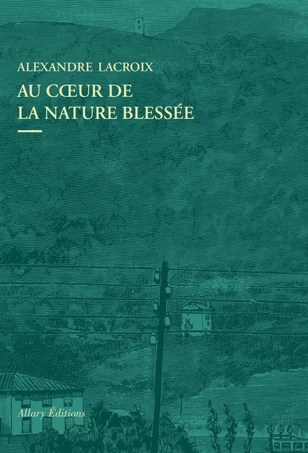 Au coeur de la nature blessée - Apprendre à voir les paysages du XXIe siècle - Alexandre Lacroix - Allary éditions