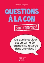 Petit livre de - Questions à la con sans réponses !