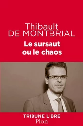 Le sursaut ou le chaos