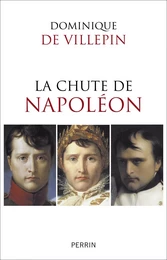 La chute de Napoléon