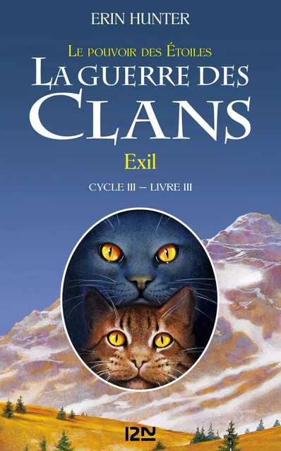 La guerre des clans III - Le pouvoir des étoiles tome 3 - Erin Hunter - Univers Poche