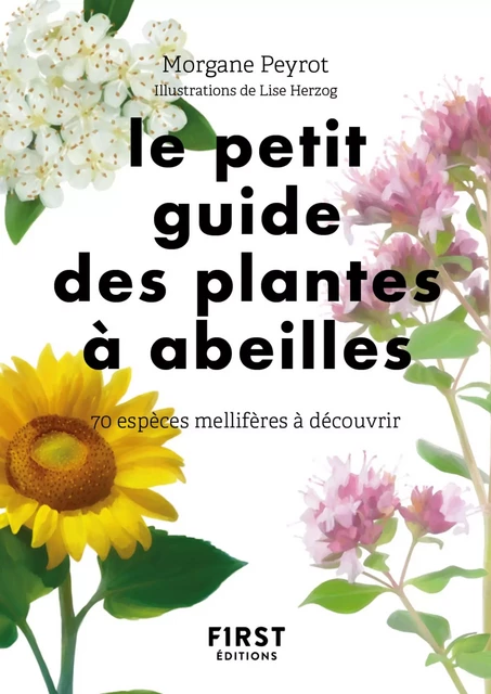 Le petit Guide des plantes à abeilles - 70 espèces à découvrir - Morgane Peyrot - edi8