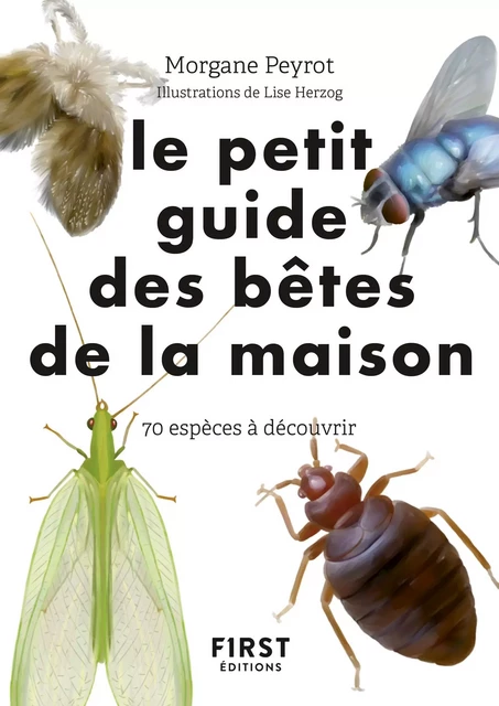 Petit guide d'observation des petites bêtes de la maison - Morgane Peyrot - edi8