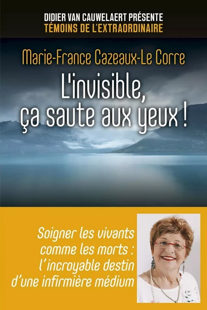 L'invisible, ça saute aux yeux ! - Marie-France Cazeaux-Le corre - edi8