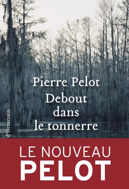 Debout dans le tonnerre - Pierre Pelot - Héloïse d'Ormesson