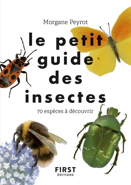 Le petit guide des insectes - 70 espèces à découvrir - Morgane Peyrot - edi8