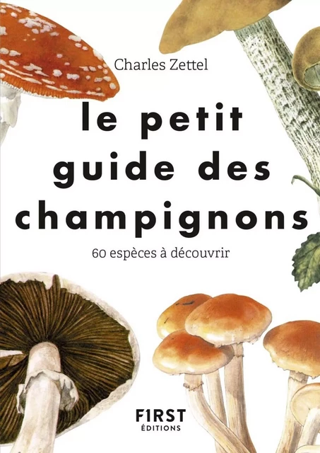 Le Petit guide des champignons - 60 espèces à découvrir -  Collectif - edi8