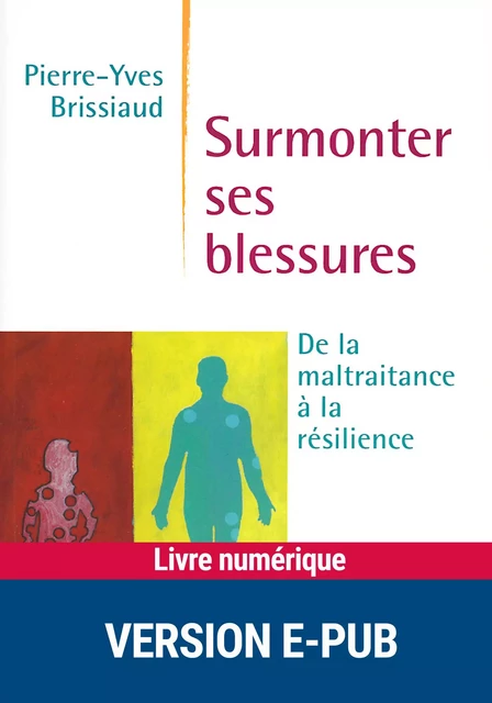 Surmonter ses blessures - Pierre-Yves Brissiaud - Retz