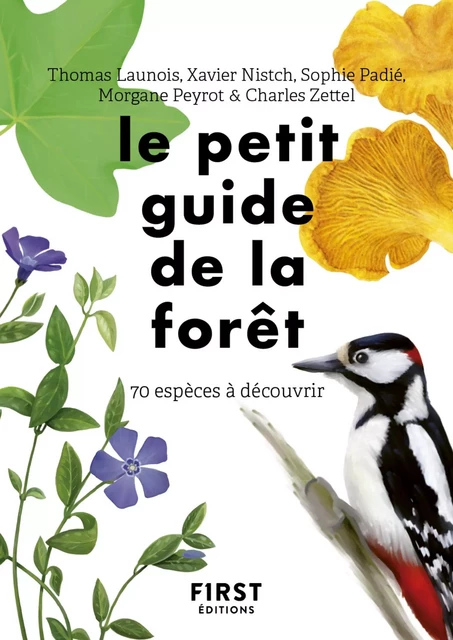 Le petit guide de la forêt -  Collectif - edi8