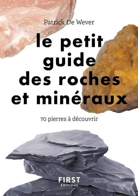 Le petit guide des roches et minéraux : 70 pierres à découvrir - Patrick de Wever - edi8