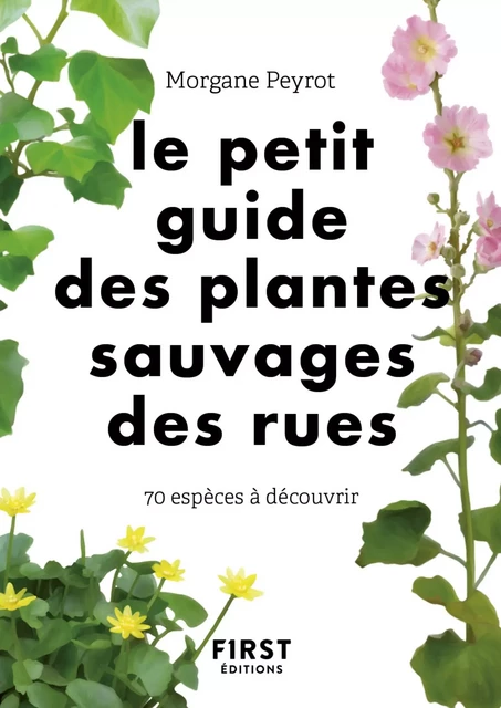 Le petit guide des plantes sauvages des rues : 70 espèces à découvrir - Morgane Peyrot - edi8