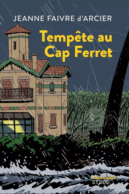 Tempête au Cap Ferret - Jeanne Faivre d'Arcier - Nathan