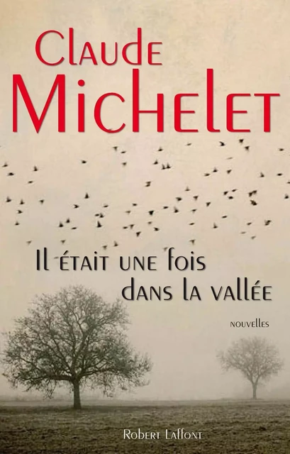 Il était une fois dans la vallée - Claude Michelet - Groupe Robert Laffont