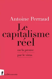 Le Capitalisme réel