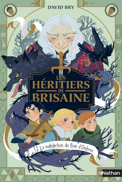 Les Héritiers de Brisaine - La malédiction du bois d'ombres - tome 1/5 - Roman dès 9 ans - David Bry - Nathan