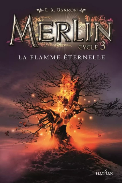 Merlin - La flemme éternelle - Tome 3 - Dès 10 ans - T. A. Barron - Nathan