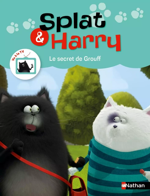 Splat & Harry : Le secret de Grouff - Dès 4 ans - Ségolène Basso Brusa - Nathan