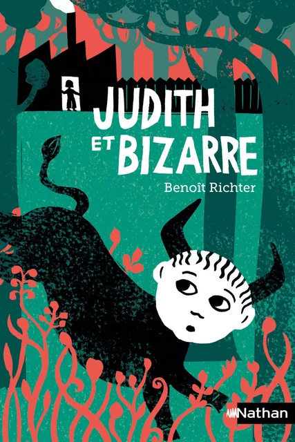 Judith et Bizarre - Dès 10 ans - Benoît Richter - Nathan