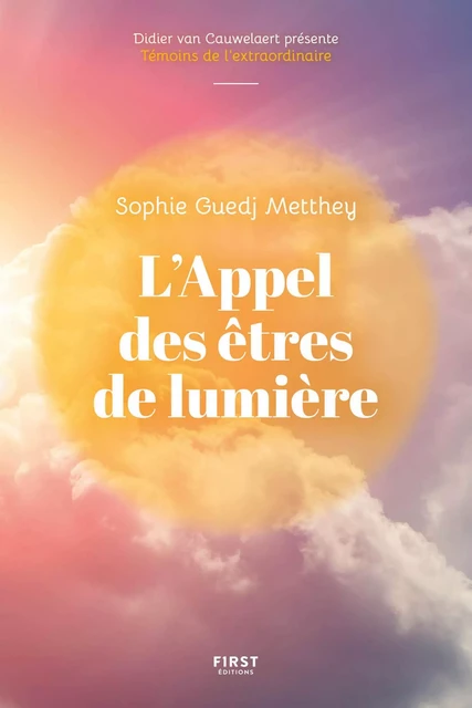 L'Appel des êtres de lumière - Une responsable des ressources humaines découvre qu'elle peut communiquer avec les guides spirituels - Sophie Guedj Metthey - edi8